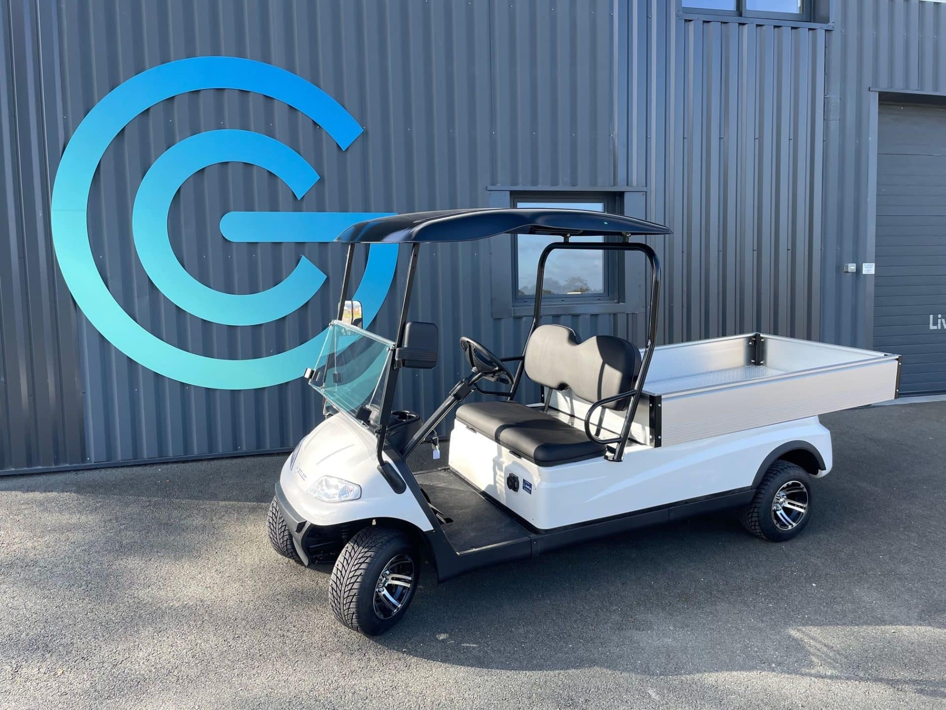 ZELEC GC-A2BL Electric Utility Cart, 2 Seats, XL Dump Bed