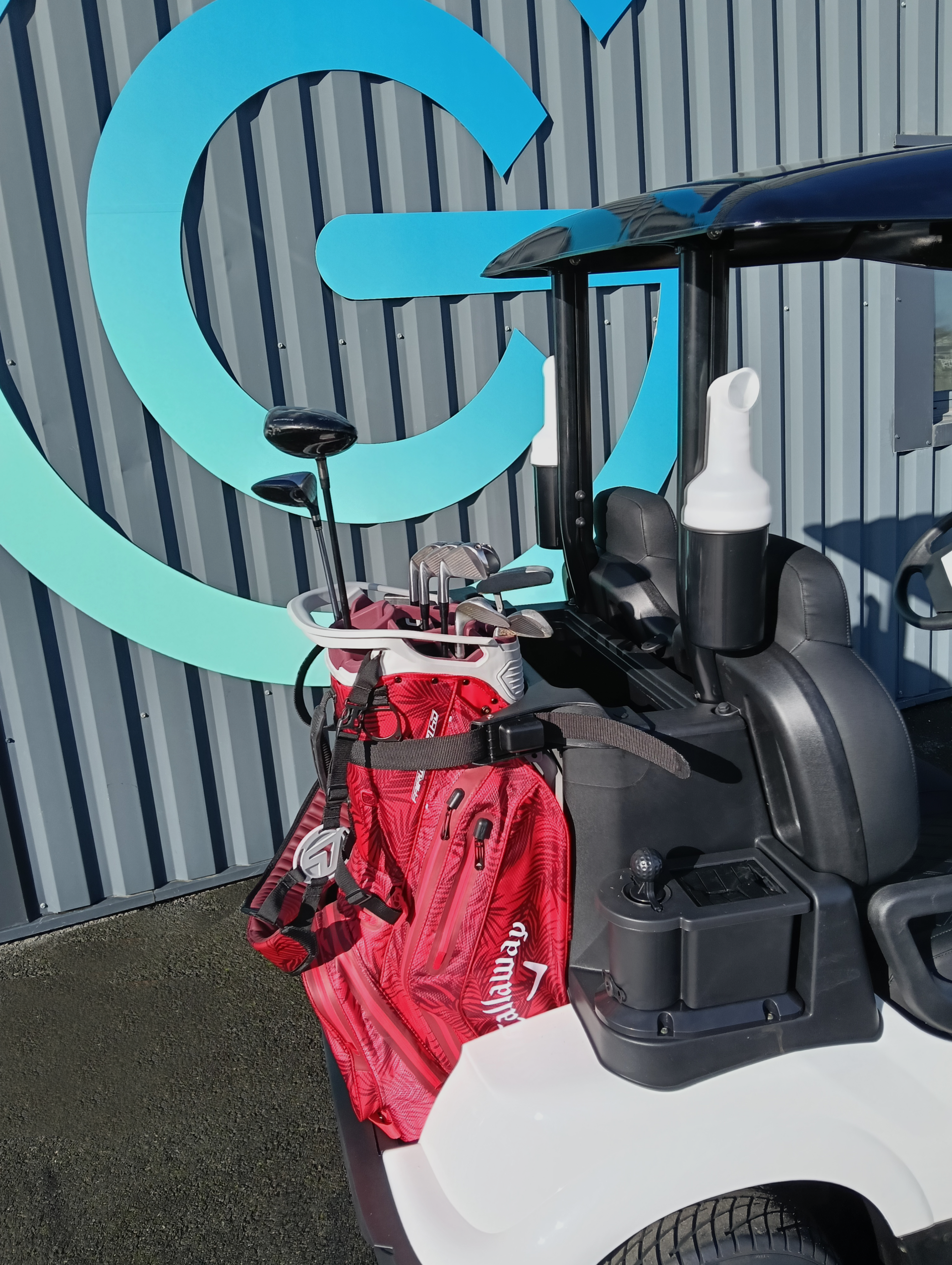 ZELEC GC-A2 Electric Golf Cart, 2 Seats, Lithium, Premium Golf Kit – view 6
