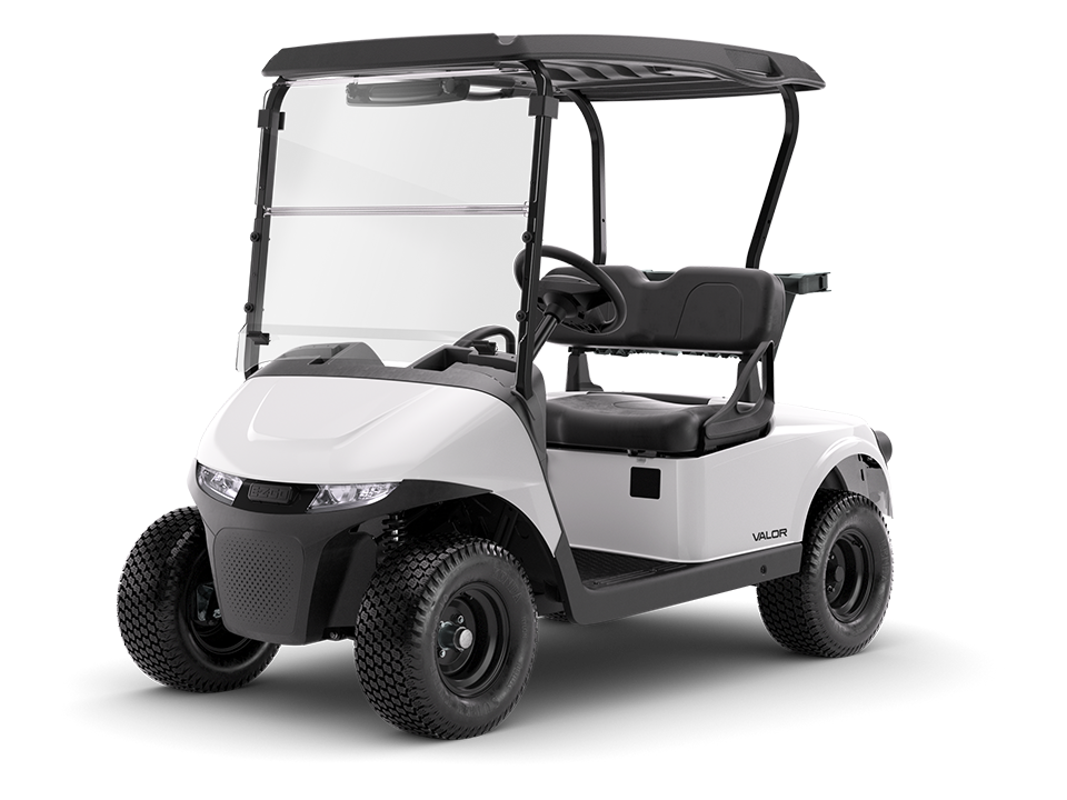 EZGO RXV / Valor / Fleet (Used) – view 10