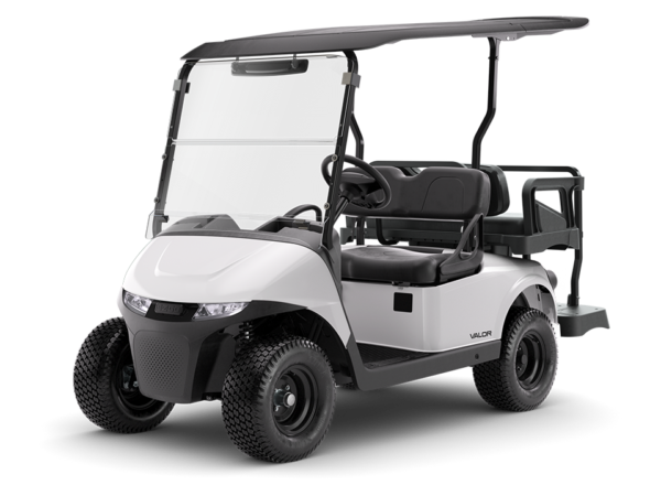 EZGO RXV / Valor / Fleet (New)