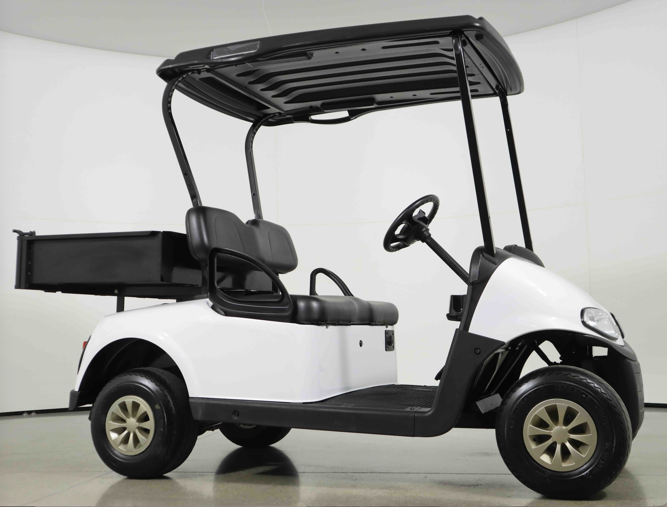 EZGO RXV / Valor / Fleet (Used) – view 4