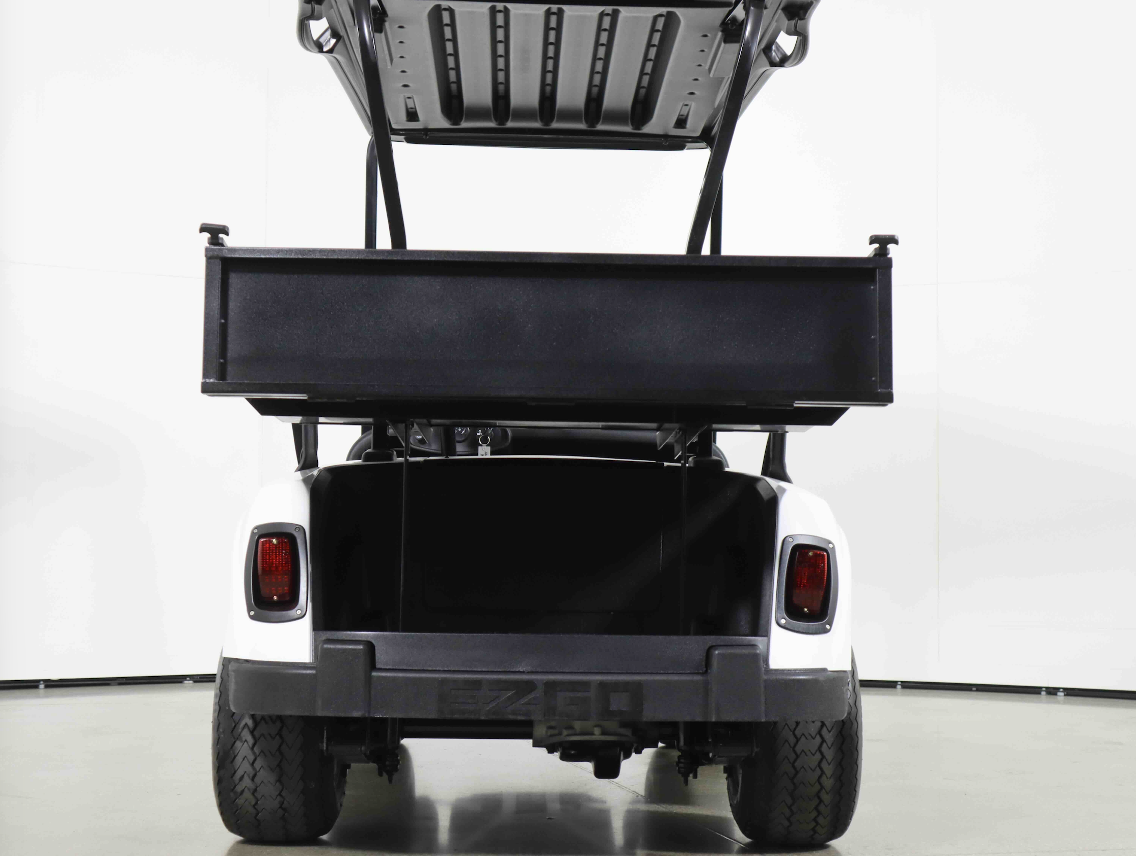 EZGO RXV / Valor / Fleet (Used) – view 5
