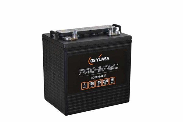 Yuasa 8V Deep-Cycle Golf Cart Battery (US Battery 8VGC XC2)